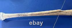 Hanley Ramirez Signed Game Used Baseball Bat JSA AU08459 n9s