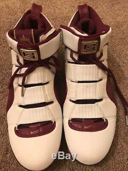 Nick Young Zoom Lebron IV 4 Christ The King Game Used Worn Autographed Shoes