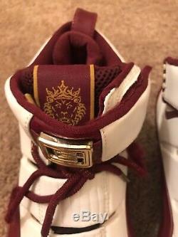 Nick Young Zoom Lebron IV 4 Christ The King Game Used Worn Autographed Shoes