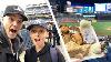 Jeu De Baseball Et Une Tonne De Nourriture Gratuite Au Yankee Stadium